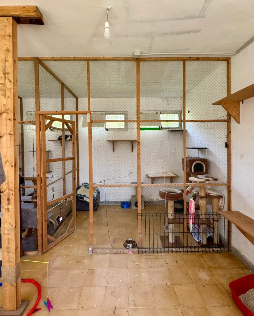 Refugio de gatos de la historia de Callejeros Boiro en la actualidad