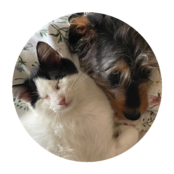 Missie, rescatar y brindar una oportunidad, ella es la prueba