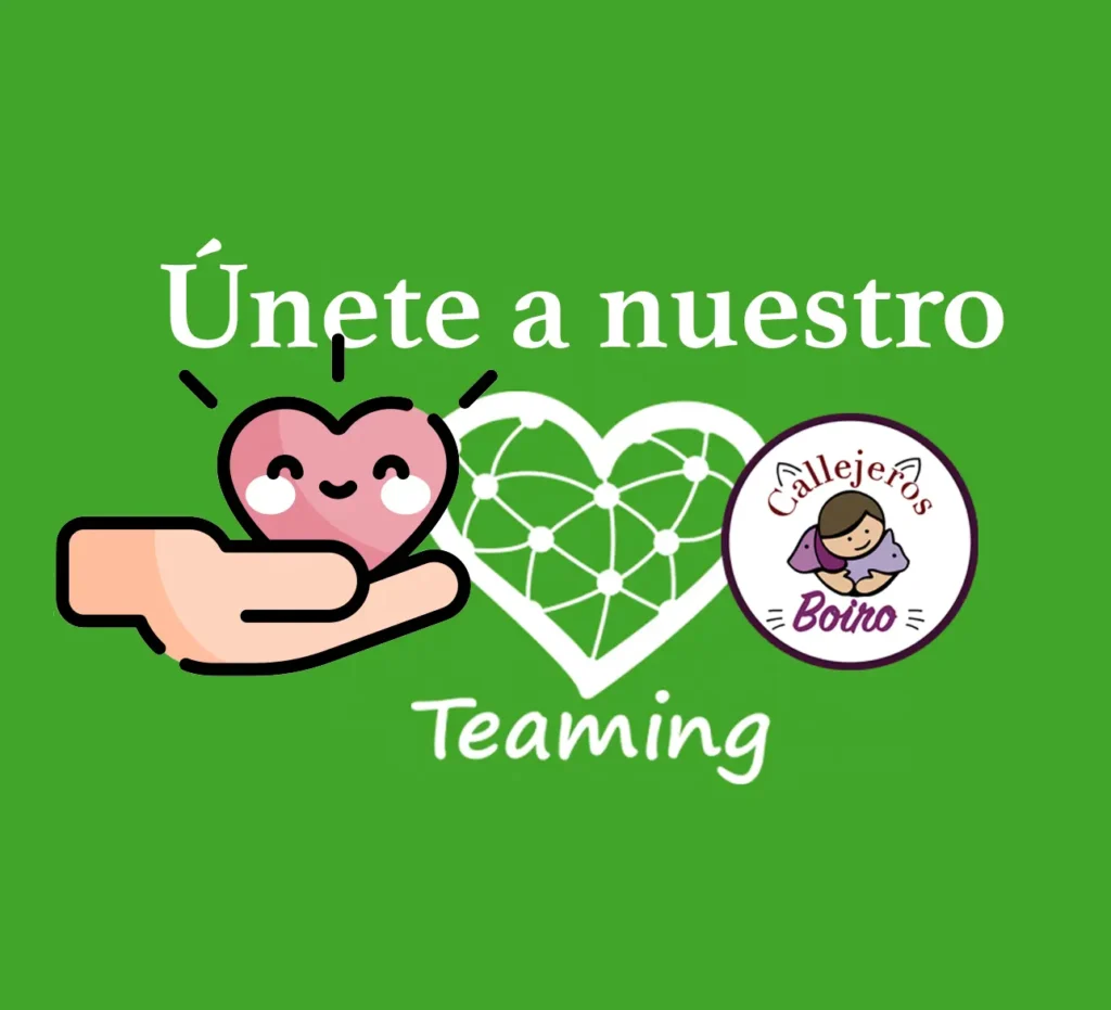 Logotipo de Teaming para realizar donaciones a la protectora de gatos Callejeros Boiro por solo un euro al mes