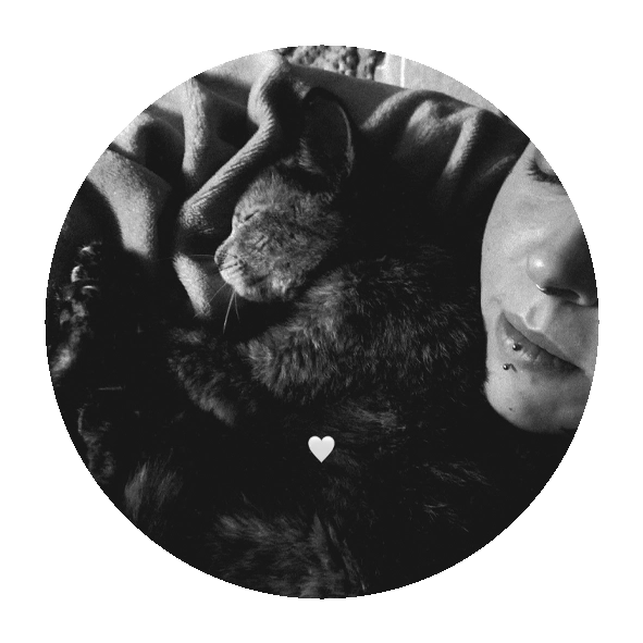 Lilis, gata adoptada en Pontevedra